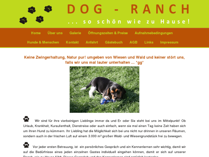 www.dog-ranch.com