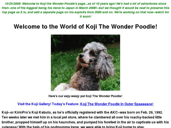 www.kojithewonderpoodle.com