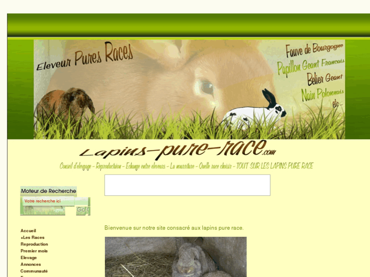 www.lapins-pure-race.com