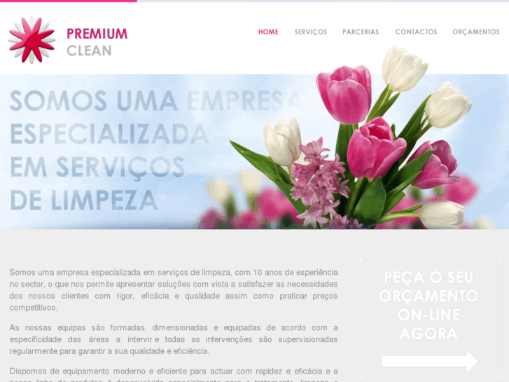 www.premium-clean.com