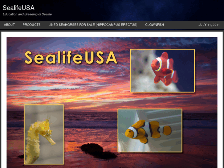 www.sealifeusa.com