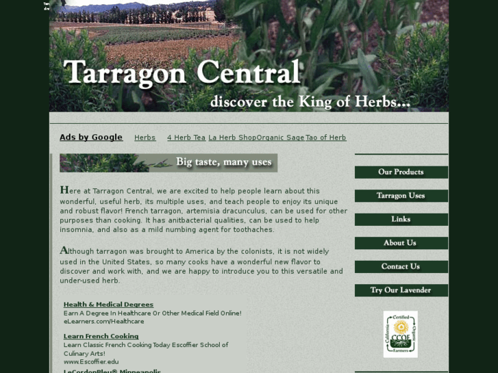 www.tarragoncentral.com