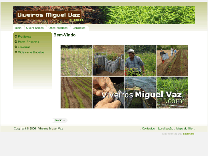 www.viveirosmiguelvaz.com