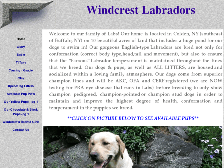 www.windcrestlabs.com