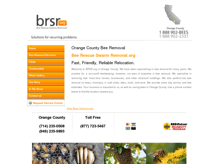 www.beesorangecounty.com