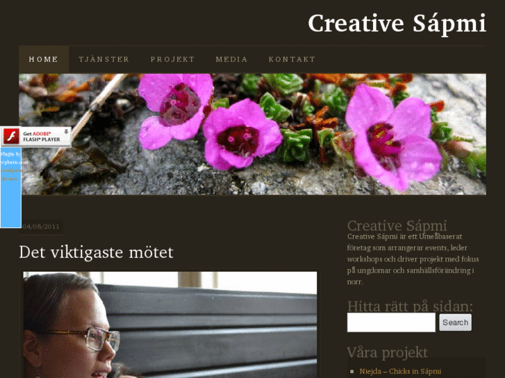 www.creativesapmi.com