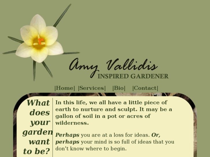 www.vallidis.com