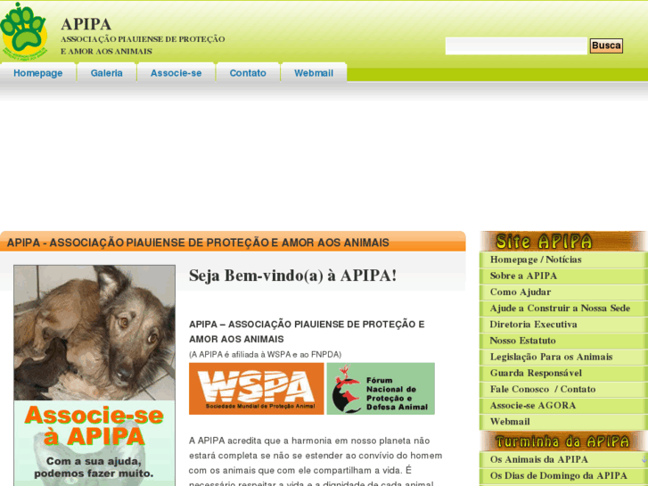 www.apipa10.org