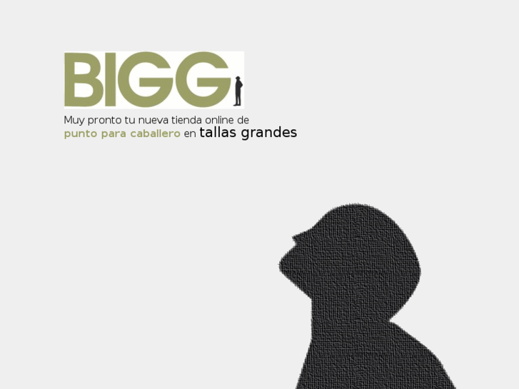 www.bigg.es