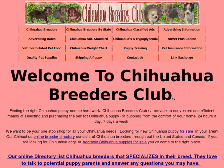 www.chihuahuabreedersclub.com