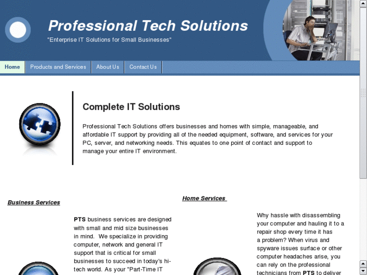 www.professionaltechsolutions.com