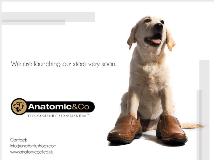 www.anatomicprime.com