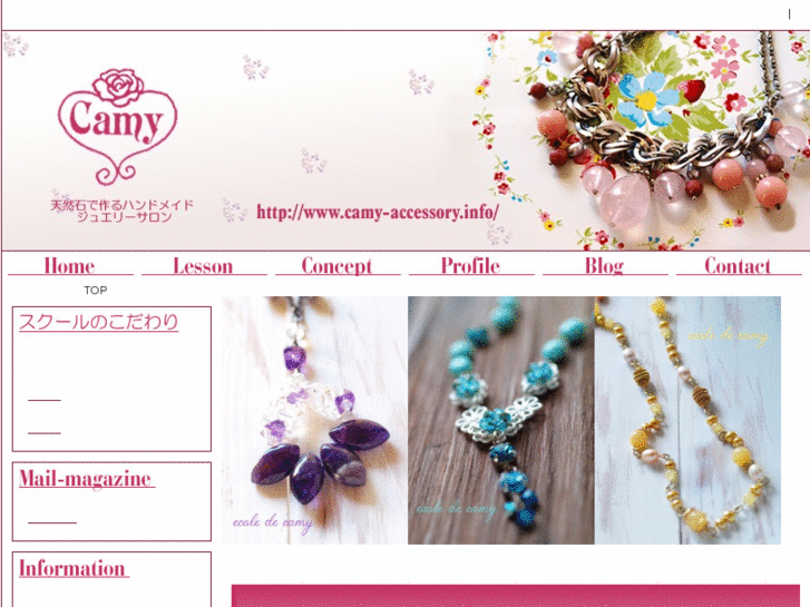 www.camy-accessory.info