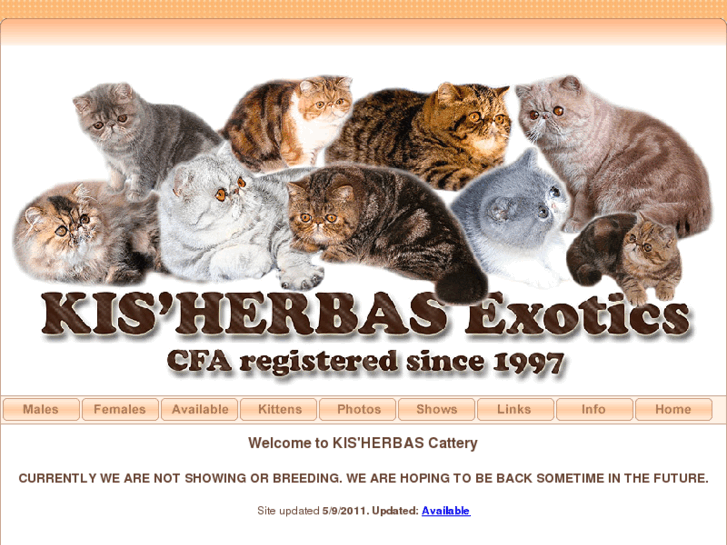 www.kisherbas-cattery.com