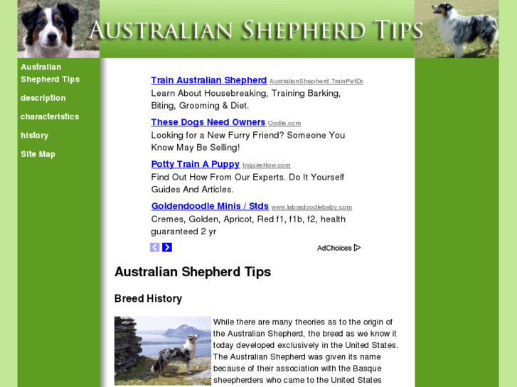 www.australianshepherdtips.com