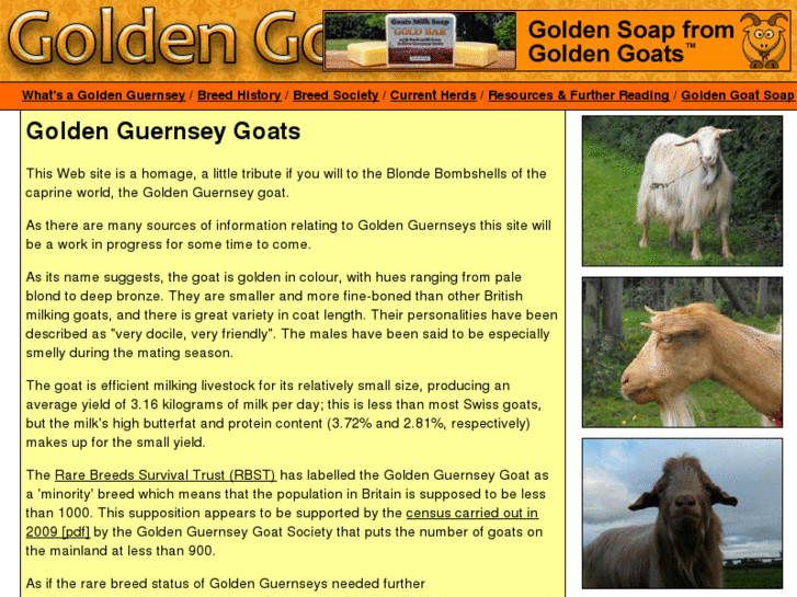 www.goldengoats.com