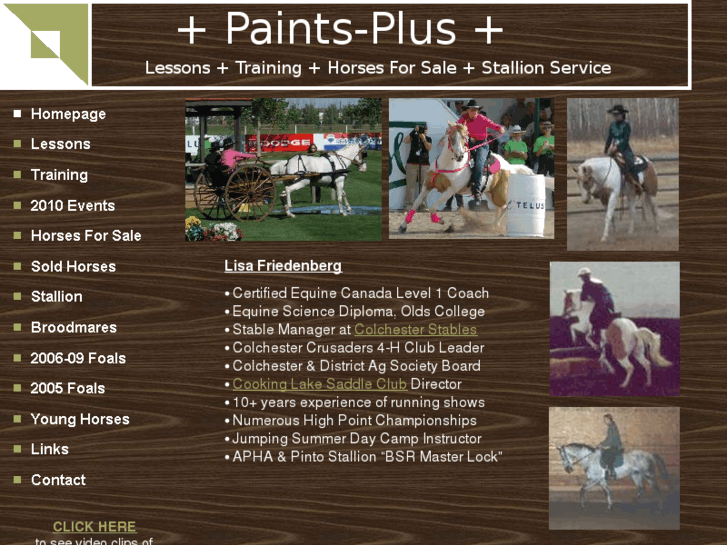 www.paints-plus.com