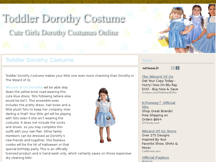 www.toddlerdorothycostume.com