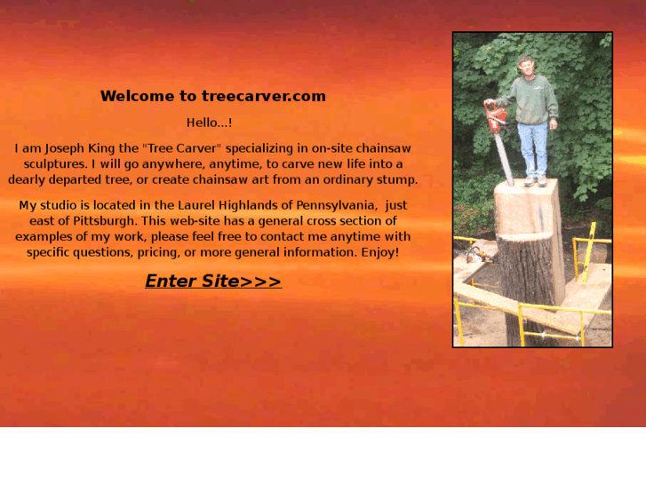 www.treecarver.com