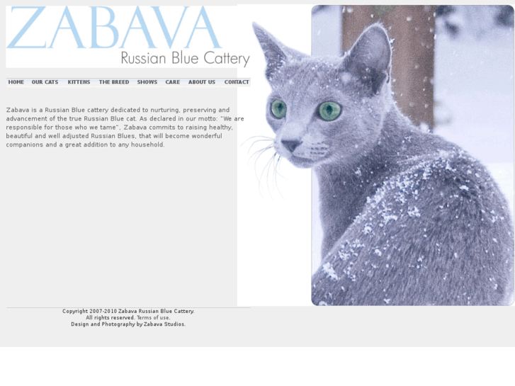 www.zabavacats.com