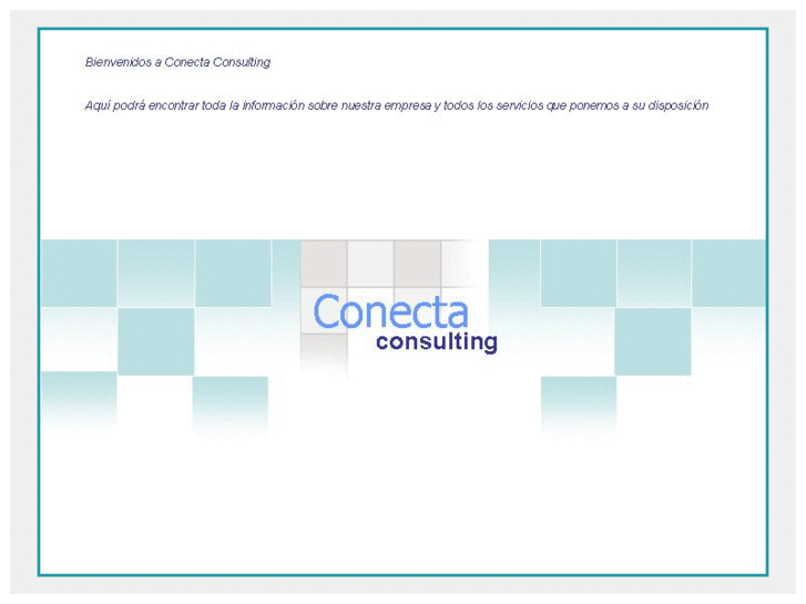www.conectaconsulting.com