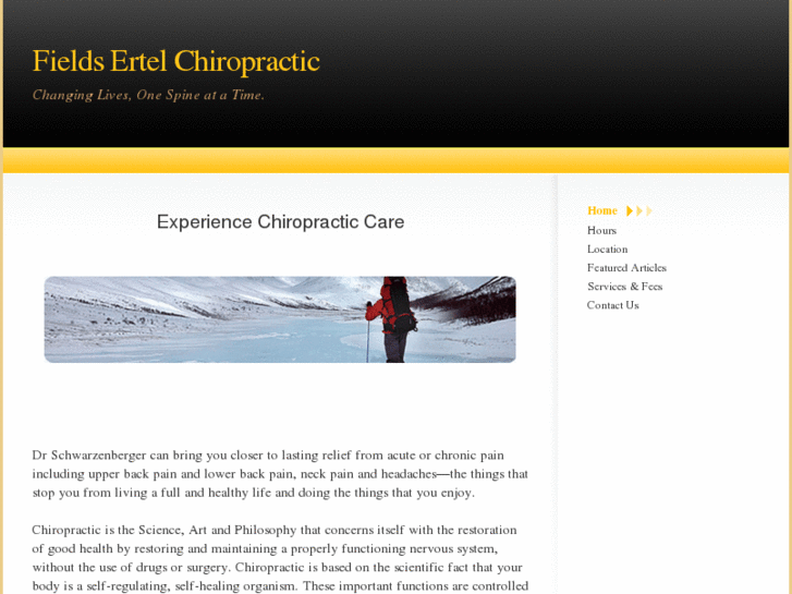 www.fieldsertelchiropractic.com