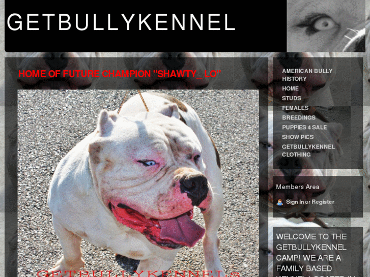 www.getbullykennel.com