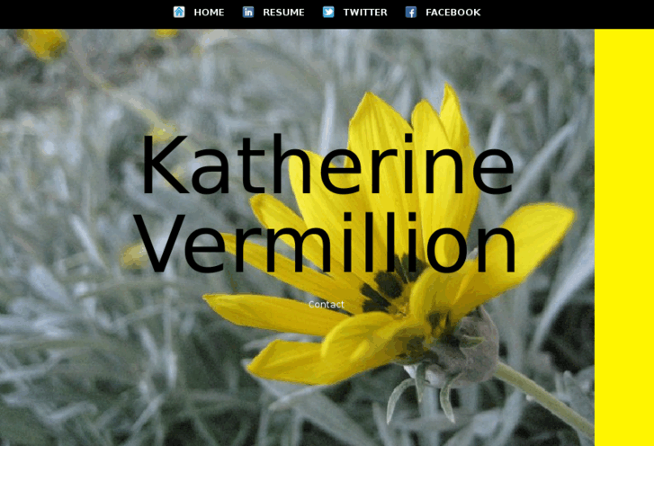 www.katherinevermillion.com