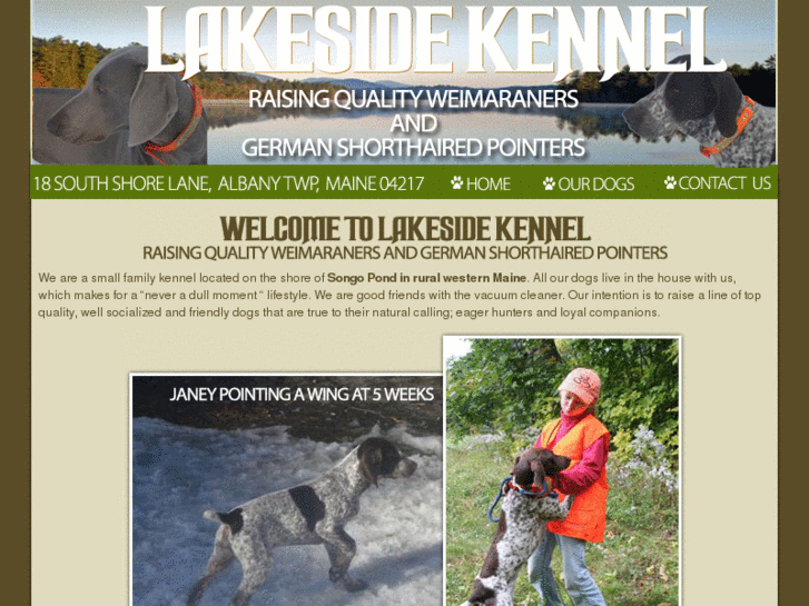 www.lakesideweimsandshorthairs.com