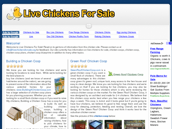 www.livechickensforsale.org