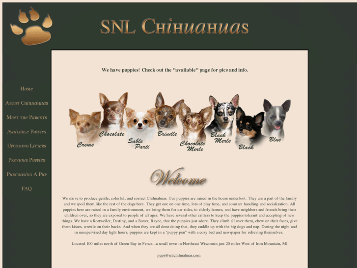 www.snlchihuahuas.com