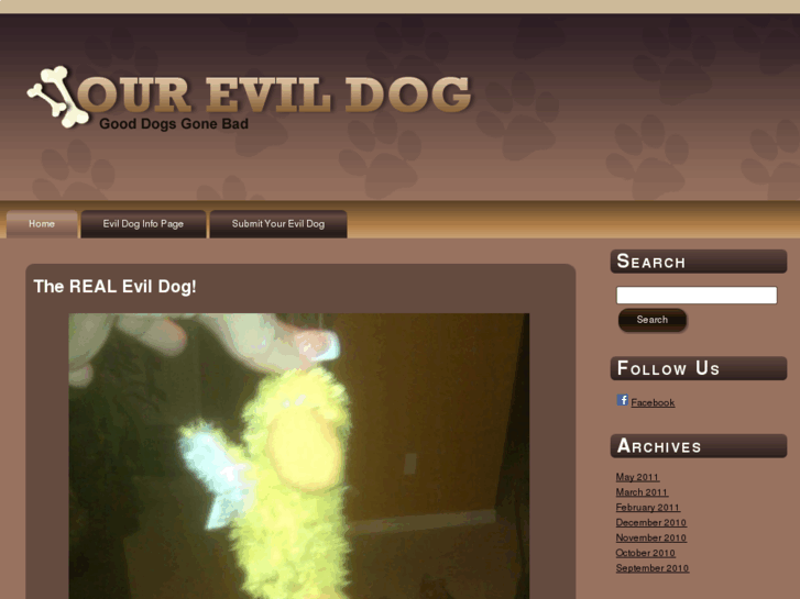 www.ourevildog.com