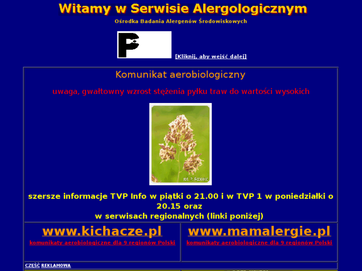 www.allergy.pl