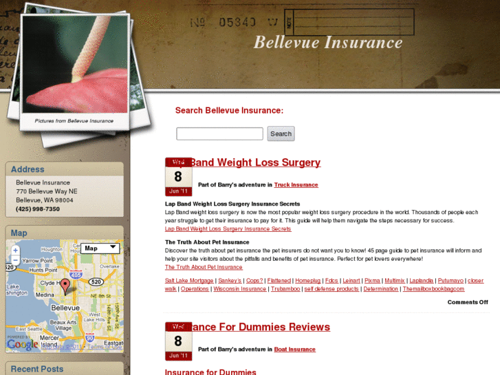 www.bellevue-insurance.info