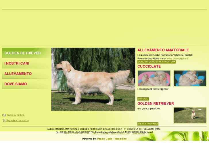 www.cuccioligoldenretriever.com