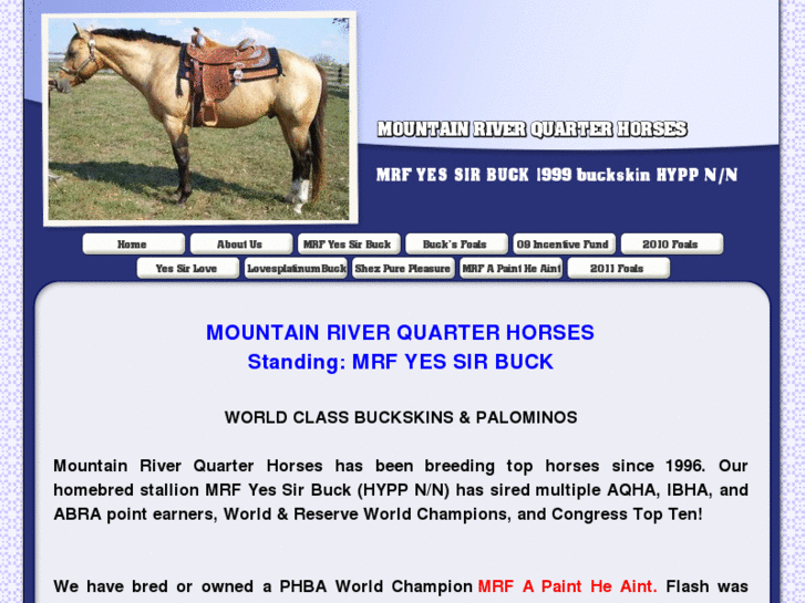 www.mountainriverquarterhorses.com