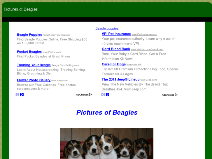 www.picturesofbeagles.com