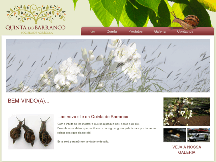 www.quintadobarranco.com