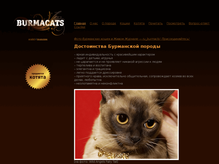 www.burmacats.ru