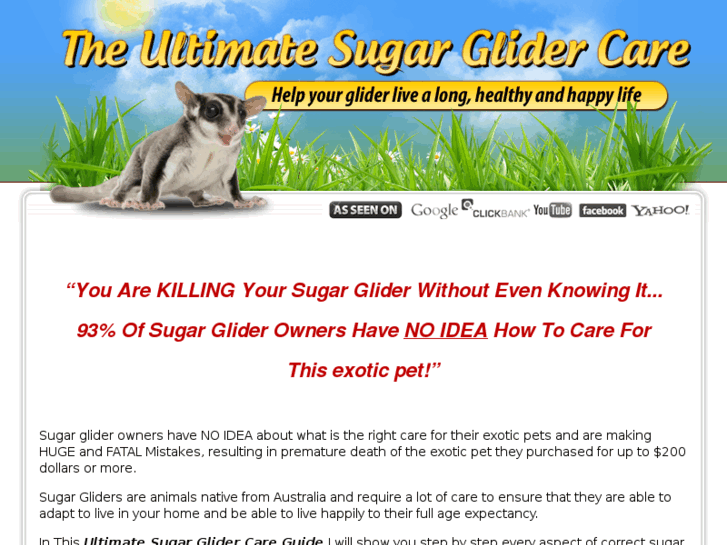 www.careforsugargliders.com