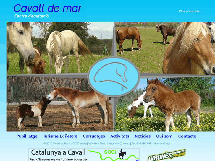 www.cavalldemar.net