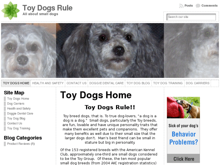 www.toydogsrule.com