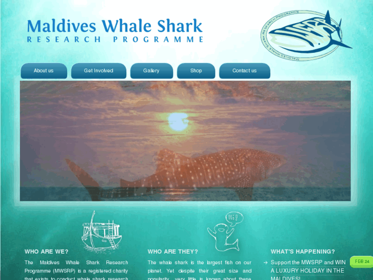 www.whalesharkresearch.co.uk