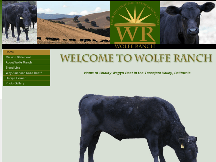 www.wolferanchwagyu.com