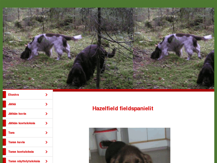 www.hazelfield.net