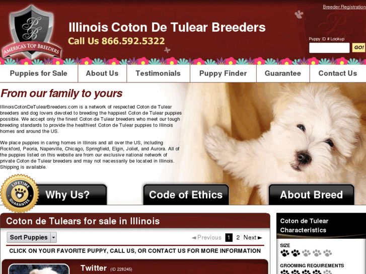 www.illinoiscotondetulearbreeders.com