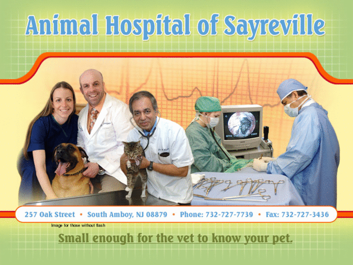 www.sayrevillevet.com