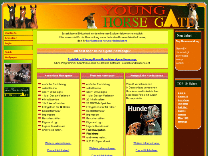 www.young-horse-gate.com