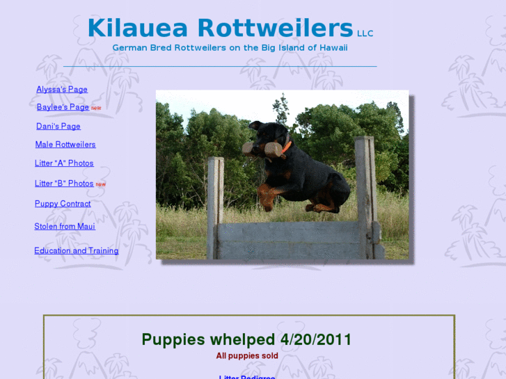 www.hawaiirottweilers.com