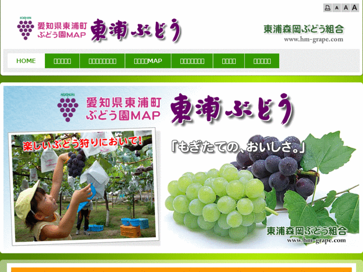 www.hm-grape.com